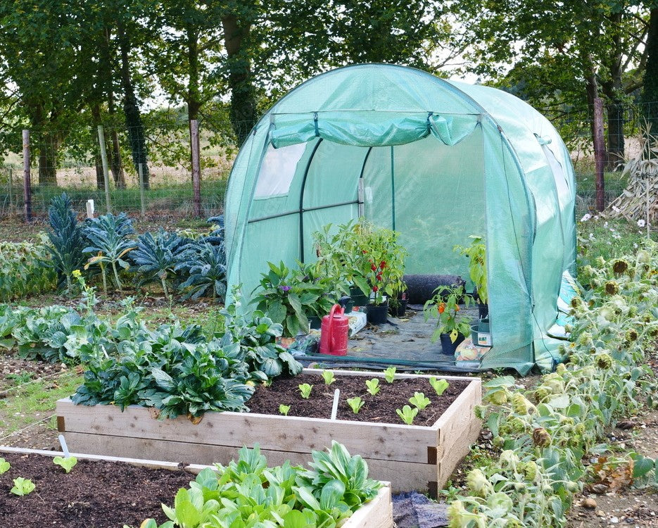 Polytunnels