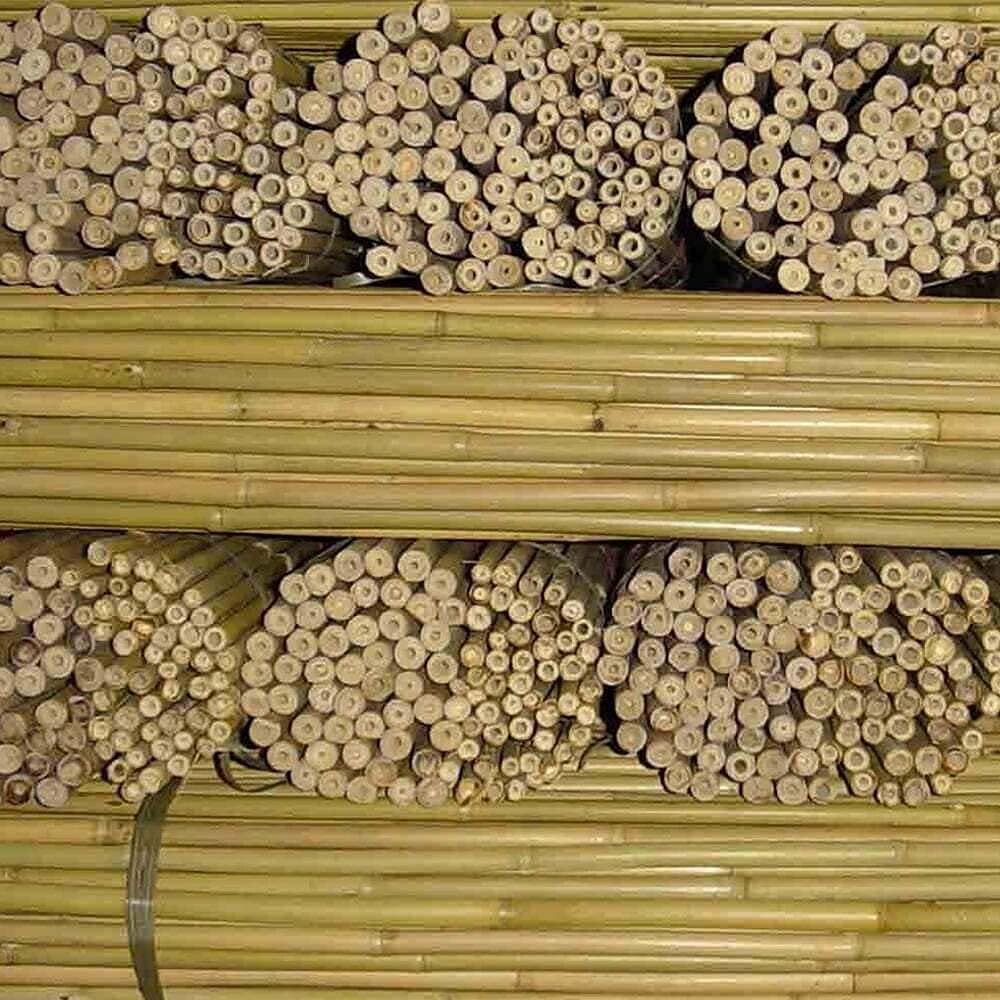 Thick Bamboo Canes for Garden Plant Support - Available in Sizes 2ft to 6ft, Packs of 5-200