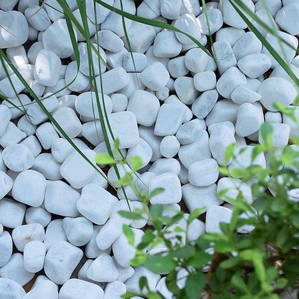 Polar White Cobbles Tumbled Stones for Elegant Garden Design